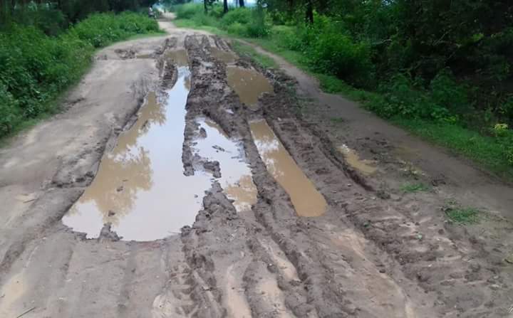 दाउदनगर: अंकोढा और संसा के बीच की सड़क यतायात के अयोग्य