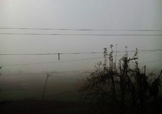 ठंड ने दी दस्तक- घने कोहरे से जनजीवन प्रभावित