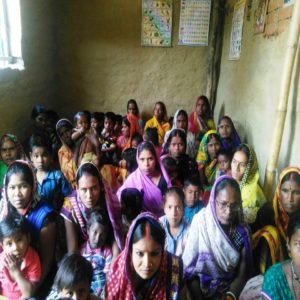 क्यूलेक्स मच्छर के काटने से होता है मस्तिष्क ज्वर