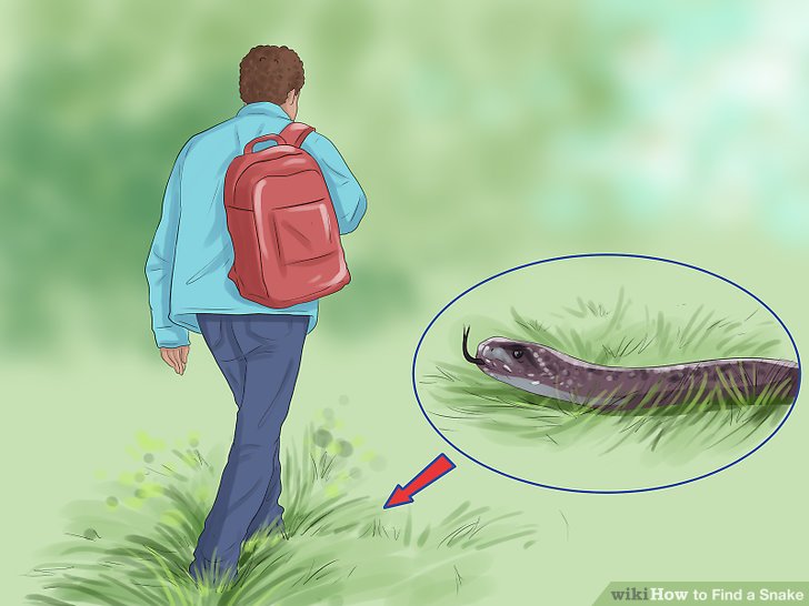 सर्प दंश से  एक की मौत