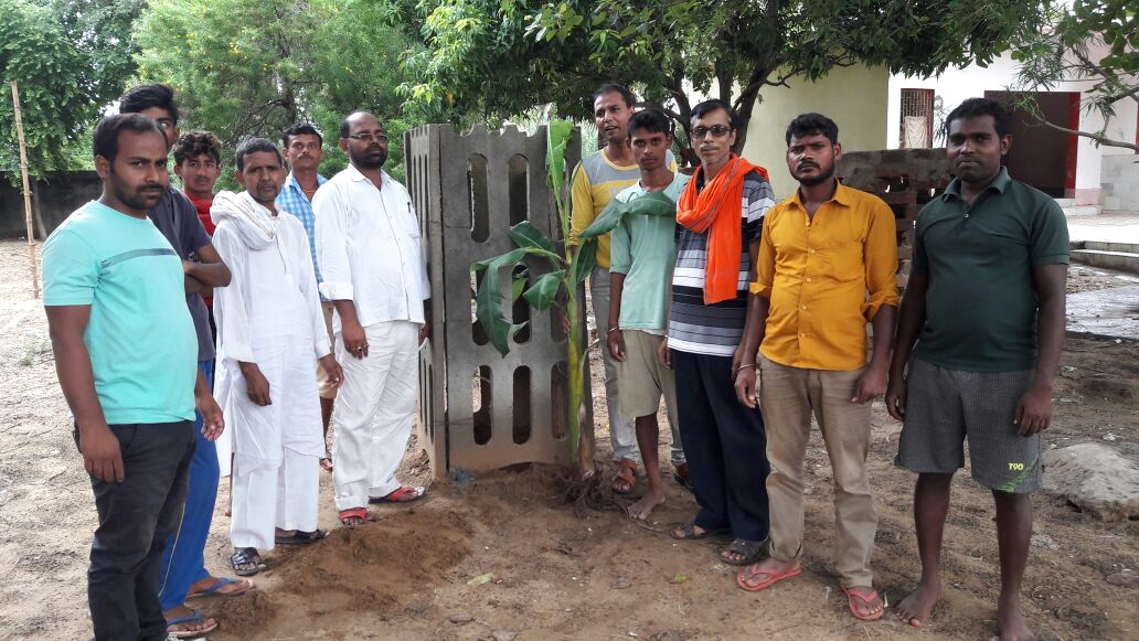 एनडीए कार्यकर्ताओं ने किया पौधारोपण