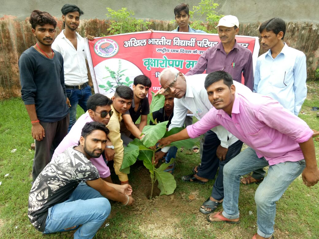 वृक्ष हमारी सृष्टि के सौन्दर्य व उन्नति के प्रतीक
