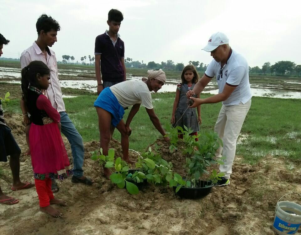 15 हजार पौधे लगाने का लक्ष्य