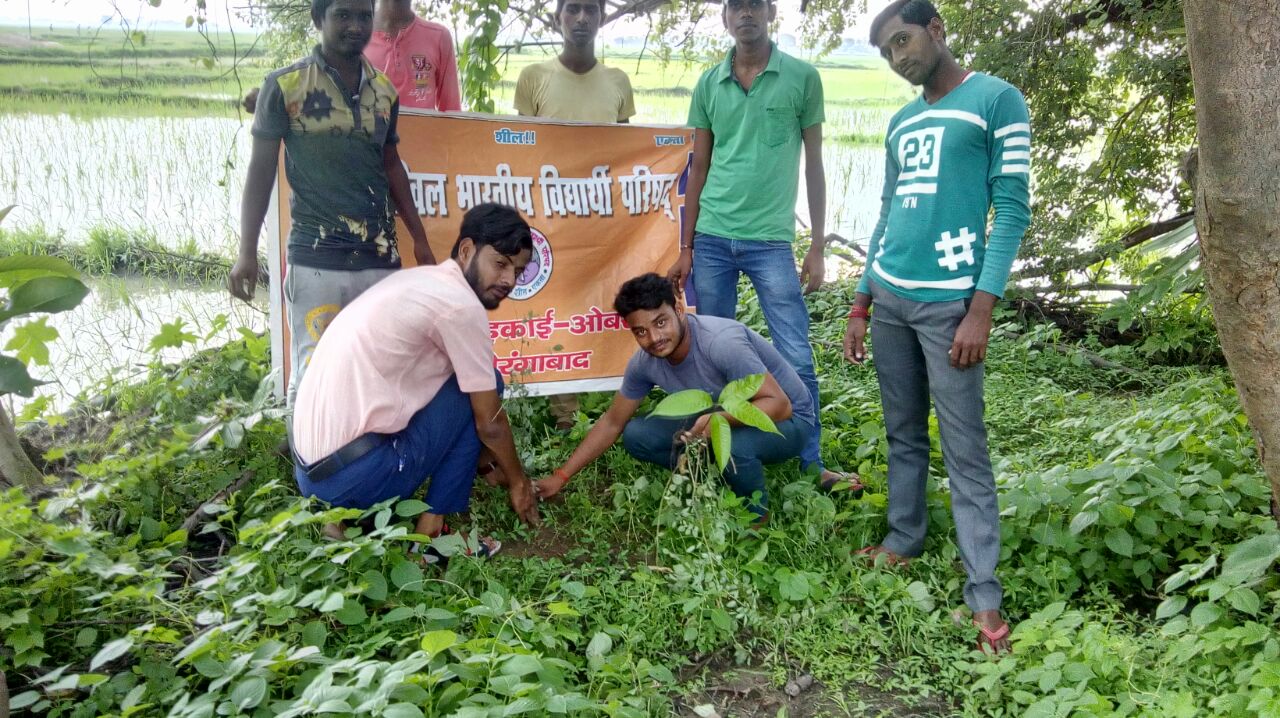 ​हरे भरे पेड़ है जीवन का आधार -अभाविप