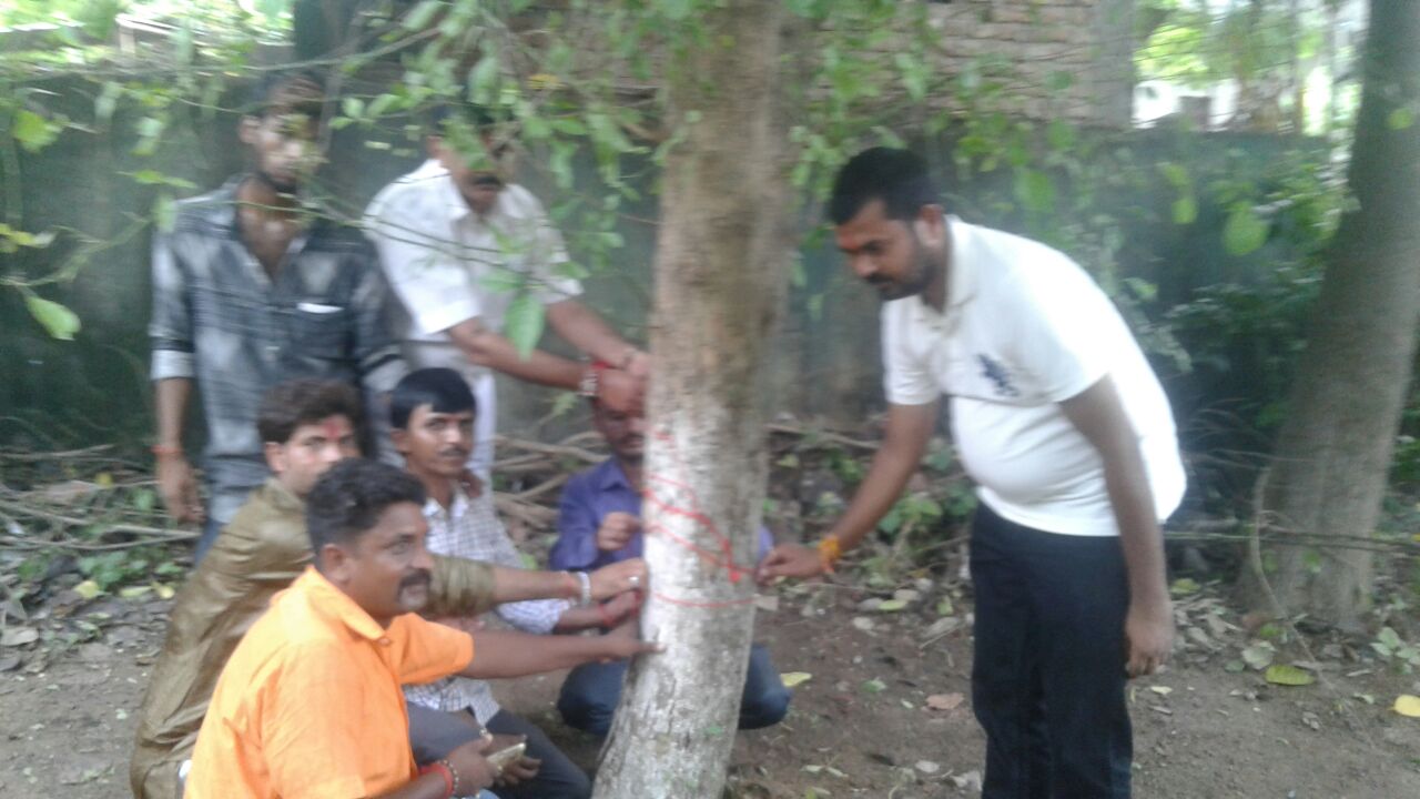 रक्षासूत्र बांधकर पेड़ों की रक्षा करने का संकल्प