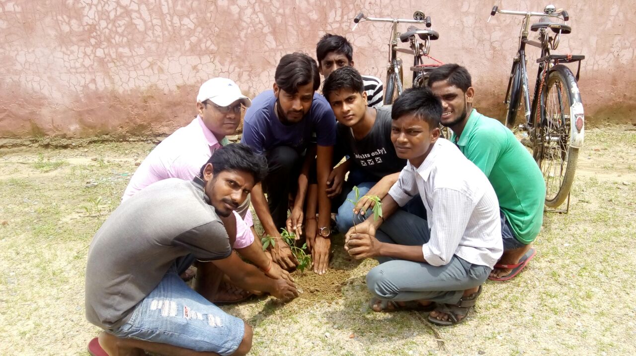 ​हरे भरे पेड़ है जीवन का आधार-अभाविप