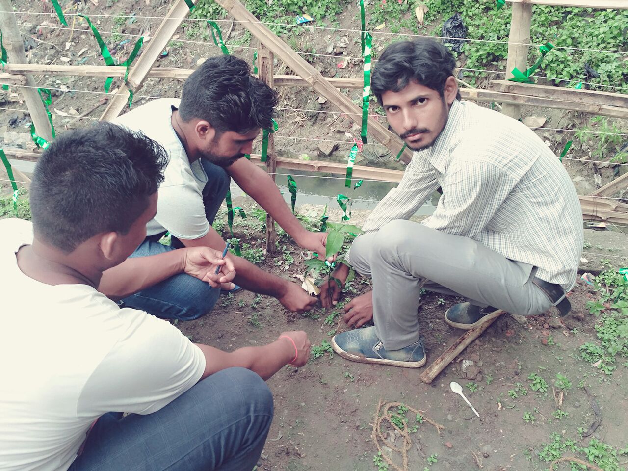 ​जन्मदिनं पर पेड़  लगाओं  जीवन बचाओ-अभाविप