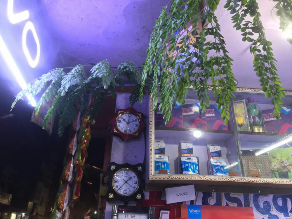 शहर में लाइट के पास मंडराने वाले छोटे कीड़ों ने लोगों को किया परेशान 