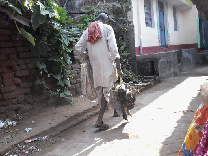 बहेलिया जाति की हालात से मुख्यमंत्री को अवगत कराने हेतु लिखा गया पत्र