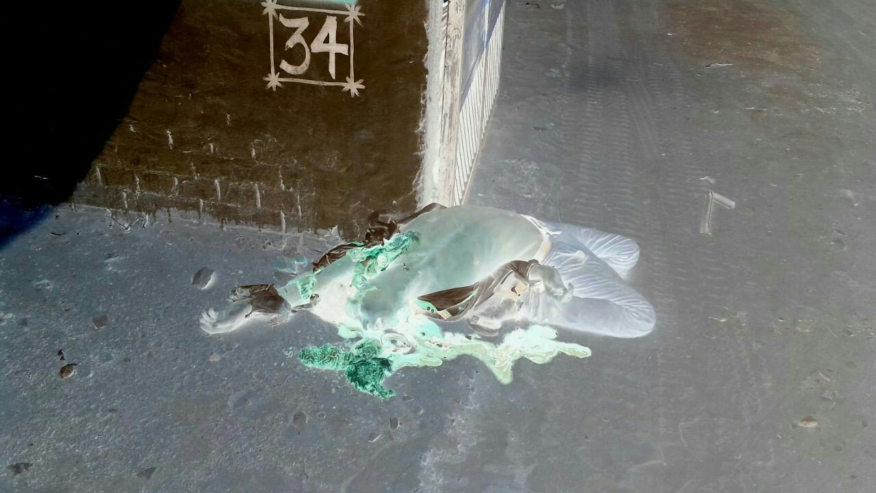 ट्रक के चपेट में आ जाने से खलासी की दर्दनाक मौत