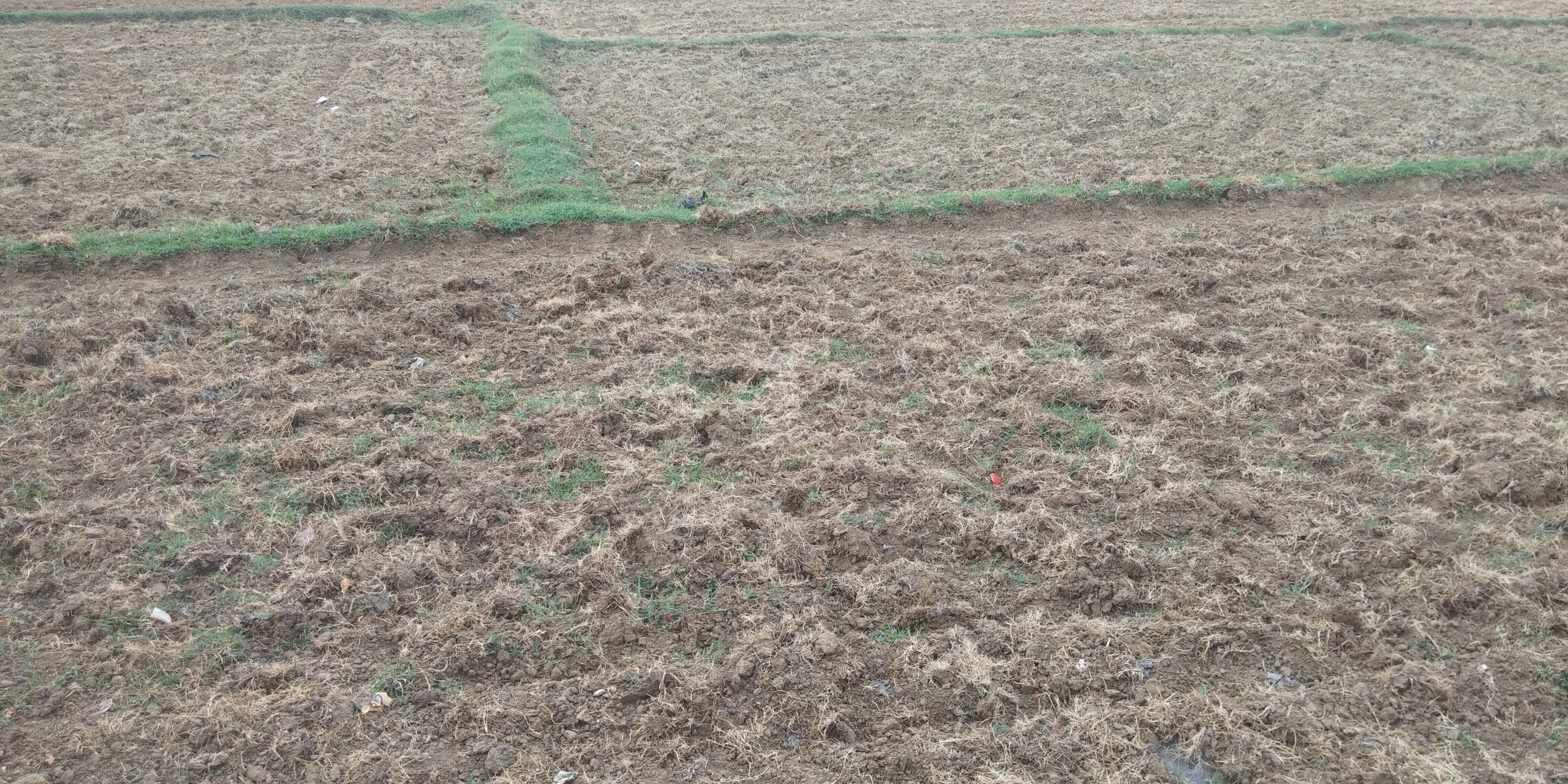 सड़क दुर्घटना में बाइक सवार घायल।