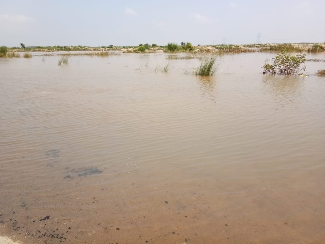 सोन का बढ़ रहा जलस्तर,हाई अलर्ट जारी।