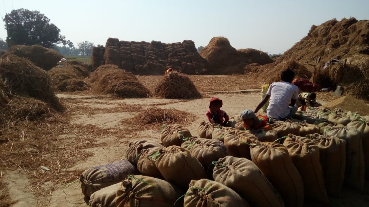 बदला मौसम का मिजाज