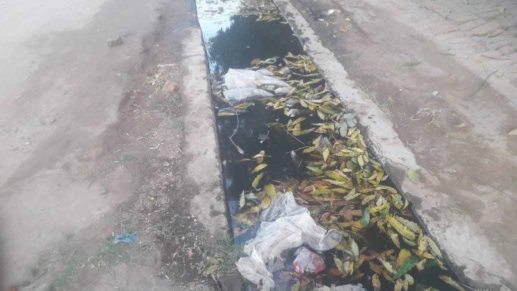नाला हमेशा रहता है जाम ,नहीं निकल रहा समाधान