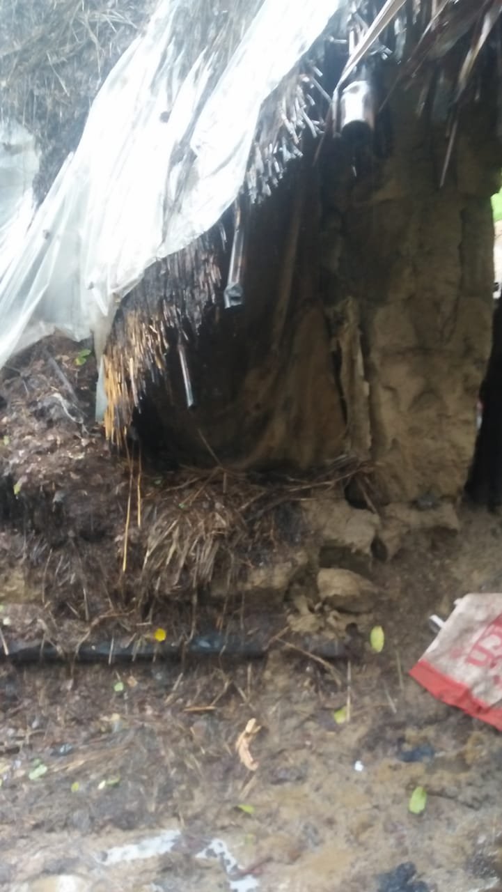 मूसलाधार बारिश के दौरान अयोध्या बिगहा गांव में गिरे आधा दर्जन गरीबों के घर