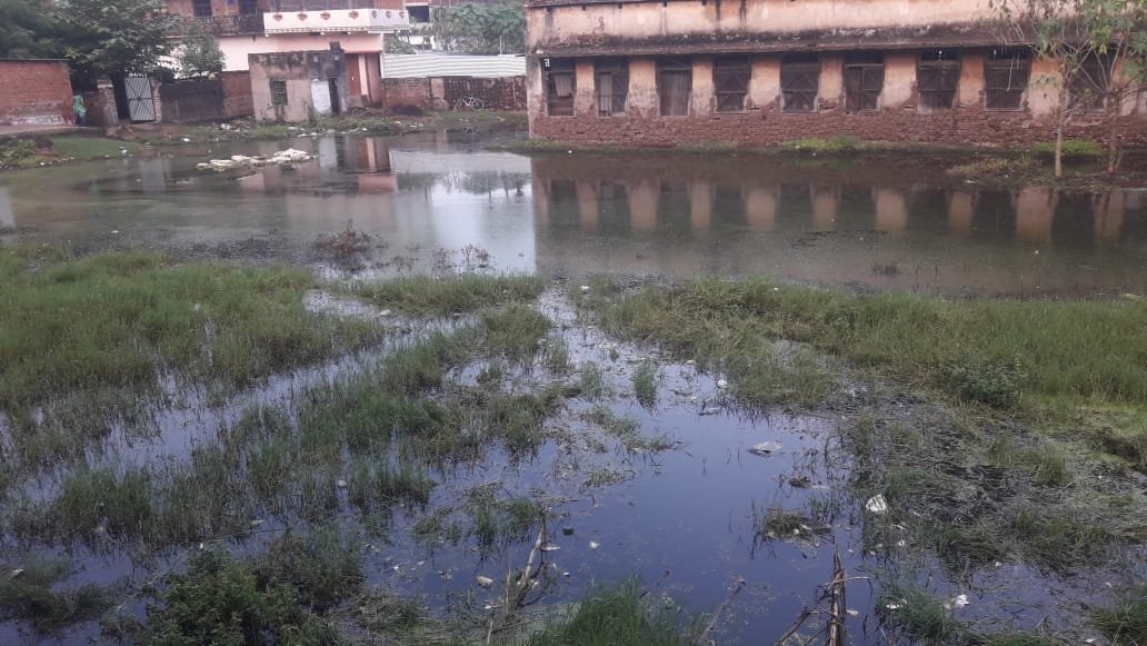 जलजमाव से उत्पन्न हो रहा है दुर्गंध, हो रही परेशानी